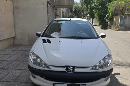مزایده خودرو پژو، 206 SD V8