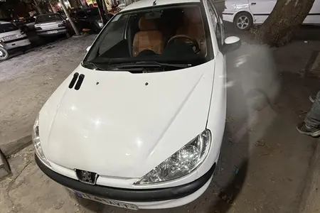 مزایده خودرو پژو، 206 تیپ 2