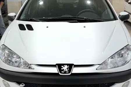 مزایده خودرو پژو، 206 SD V8