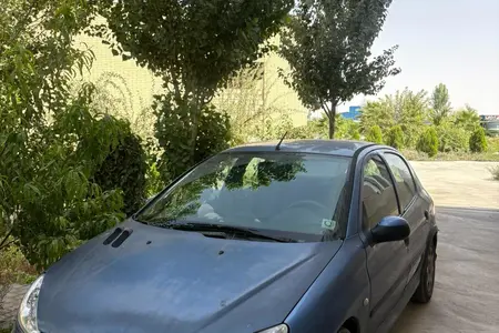 مزایده خودرو پژو، 206 تیپ 5