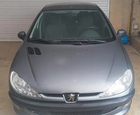 مزایده خودرو پژو، 206 SD V8