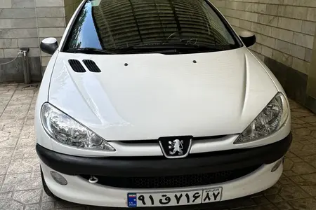 مزایده خودرو پژو، 206 SD V8