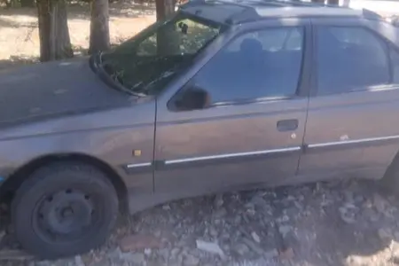 مزایده خودرو پژو، روآ ساده