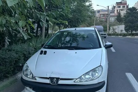 مزایده خودرو پژو، 206 تیپ 5