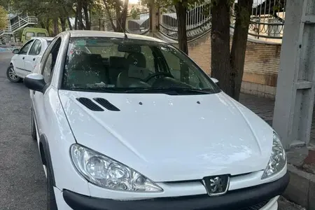 مزایده خودرو پژو، 206 SD V8
