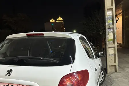 مزایده خودرو پژو، 206 تیپ 2