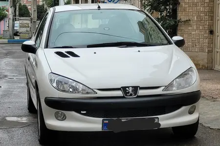 مزایده خودرو پژو، 206 SD V8