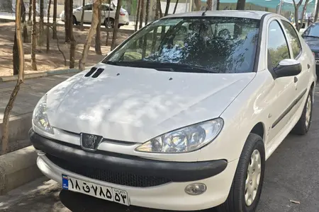 مزایده خودرو پژو، 206 SD V8