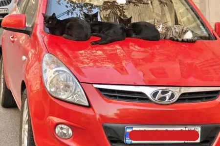 مزایده خودرو هیوندای، i20 اتوماتیک
